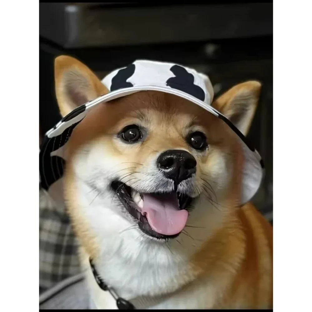 NEW! Pet Sun Hat Breathable UV protection w/ adjustable Chin Strap